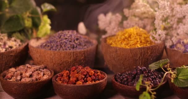 Verscheidenheid van aromatische specerijen en kruiden op keukentafel - Video