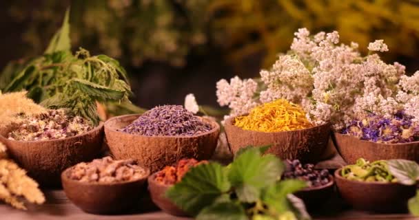 Variedade de especiarias aromáticas e ervas na mesa da cozinha
 - Filmagem, Vídeo