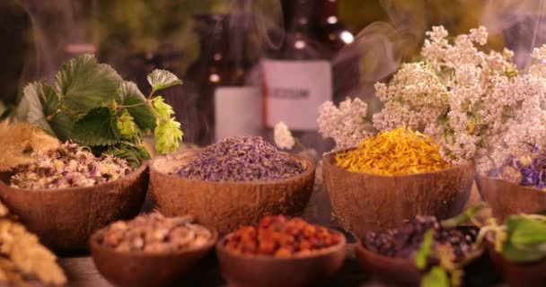 Vielfalt aromatischer Gewürze und Kräuter auf dem Küchentisch - Filmmaterial, Video
