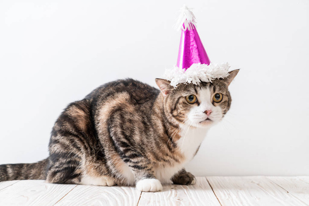 cute grey cat with party hat - Foto, afbeelding