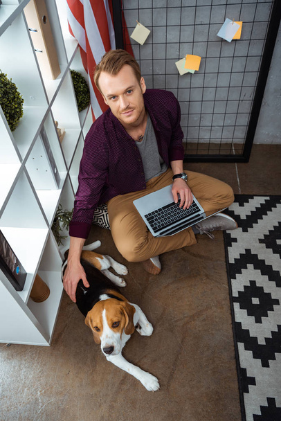 vista de ángulo alto de freelancer masculino con portátil tocando beagle cerca de la bandera de EE.UU. en la oficina en casa
  - Foto, Imagen