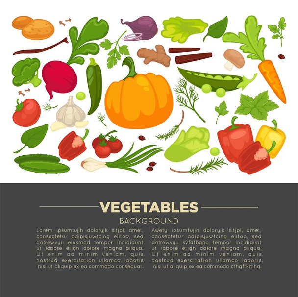 Organic vegetables food poster background template for dietary vegetarian eating or vegan diet. Vector vegetable and farm veggies radish, tomato and pepper or lettuce salad and cauliflower cabbage - Vetor, Imagem