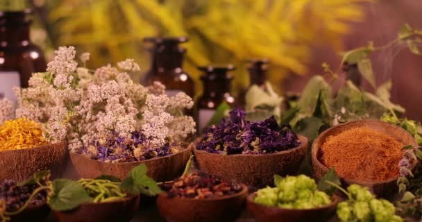 Variedad de especias aromáticas y hierbas en la mesa de la cocina
 - Imágenes, Vídeo