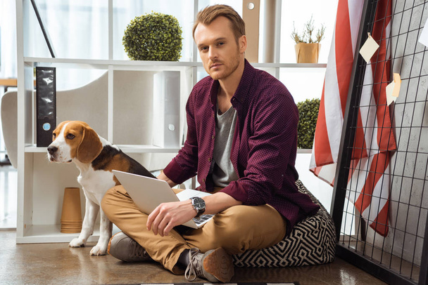 αυτοπεποίθηση αρσενικό freelancer με laptop αγγίζοντας beagle κοντά usa σημαία στο γραφείο στο σπίτι  - Φωτογραφία, εικόνα