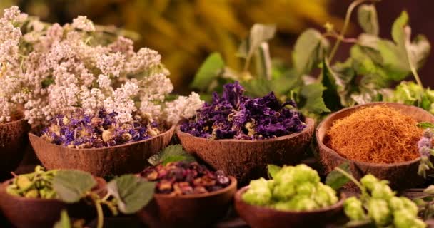 Variété d'épices aromatiques et d'herbes sur la table de cuisine - Séquence, vidéo