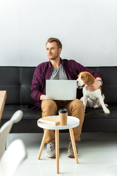handsome male freelancer sitting on sofa with laptop and adorable beagle at home - Foto, Imagem