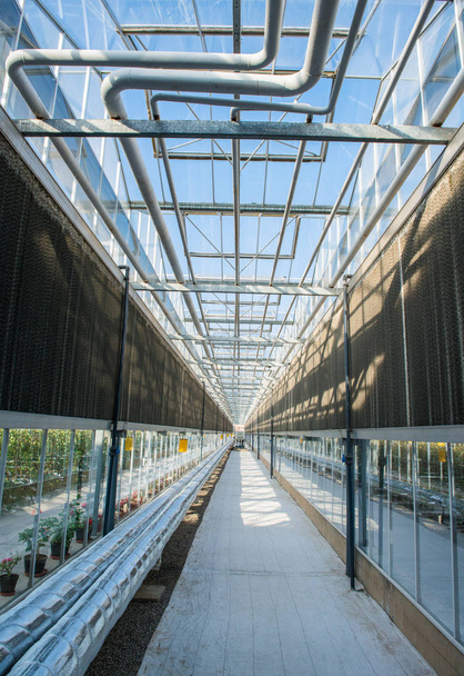 techo de cristal interior con tuberías y paredes en invernadero moderno, foto en longitud
 - Foto, imagen