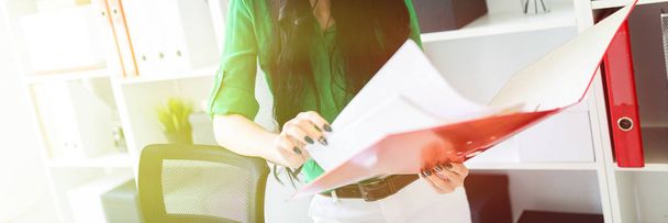 Молодая девушка в офисе держит папку с документами
. - Фото, изображение