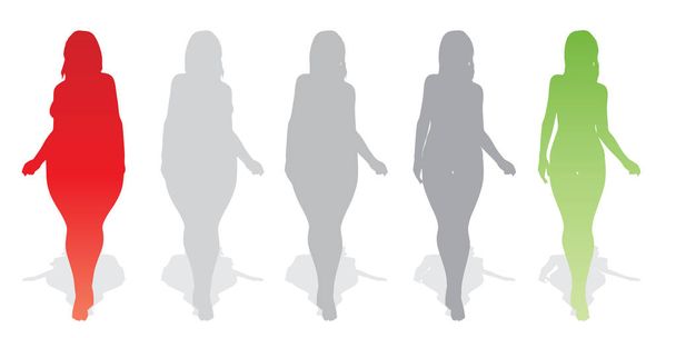 Vektör görüntü, kilolu obez kadın vs ince sağlıklı vücut, sanat resimde beyaz arka plan üzerinde uygun.  - Vektör, Görsel