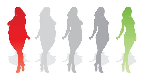 Vector afbeelding, overgewicht zwaarlijvige vrouwen vs slim past gezond lichaam, kunst illustratie op witte achtergrond  - Vector, afbeelding