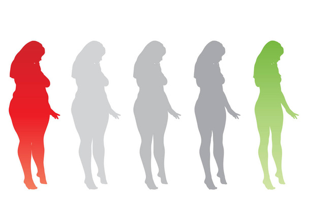 Image vectorielle, femmes obèses en surpoids vs corps mince en bonne santé, illustration d'art sur fond blanc
  - Vecteur, image