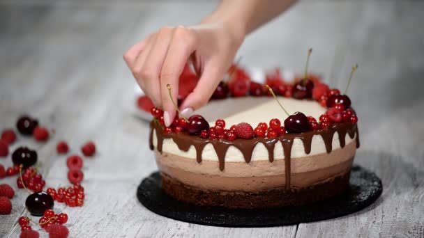 Three chocolate mousse cake decorated with berries. - Footage, Video