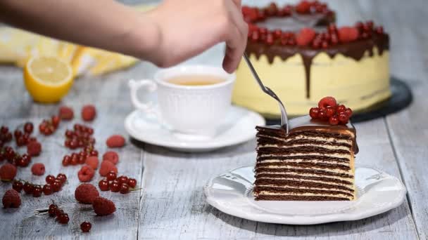 Slice of chocolate layer cake with berries and chocolate sauce. - Video