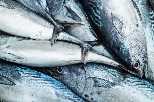 Длиннохвостый тунец на рынке. Высокий уровень белка и дешево. Он очень богат в Андаманском море области Таиланда
. - Фото, изображение