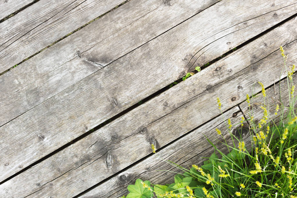 The background of the old wooden floor planks and green grass in the corner - Photo, Image