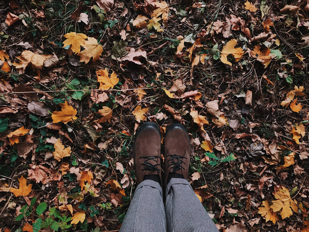 chůze po žluté a zelené listy v parku na podzim - Fotografie, Obrázek