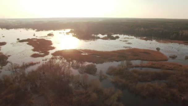 Horizontal tracking aerial shot of trees in water on sunset sunrise. Flooded plain with trees bushes growing during high water spring season with sun shining yellow and orange above water reflection - Footage, Video