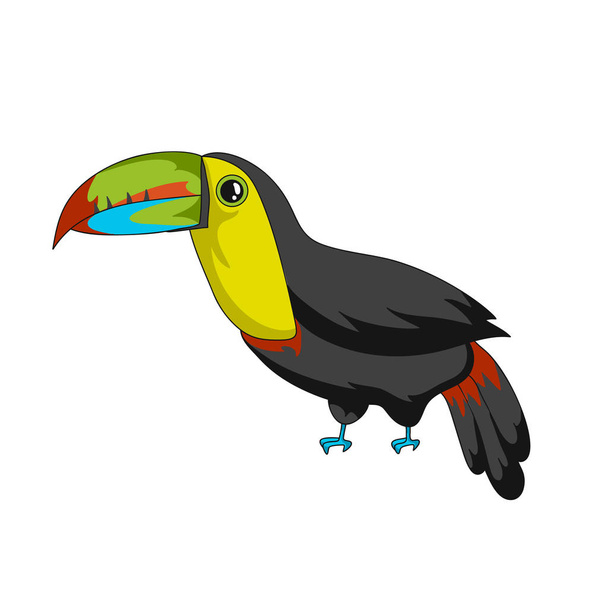 Tukan exotische Vogel-Ikone. Cartoon-Vektor-Illustration mit Strich isoliert auf Weiß - Vektor, Bild
