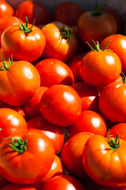 parlak kırmızı domates çiftçilerin piyasa satışa hazır kutu - Fotoğraf, Görsel