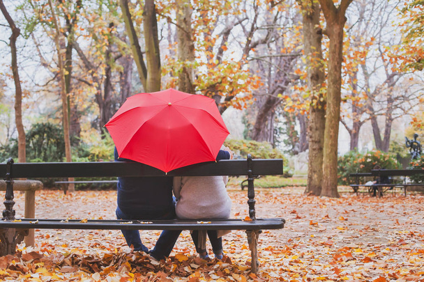 elderly retired couple sitting together on the bench in autumn park, love concept - Foto, afbeelding