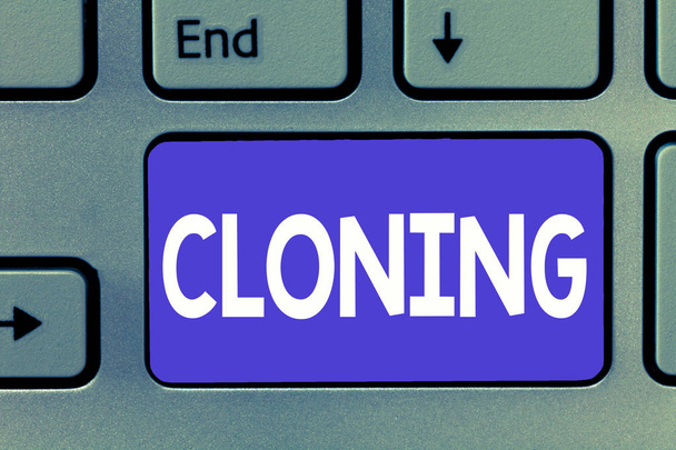 Klonlama gösterilen Not yazma. İş fotoğraf vitrine yapmak birisi ya da bir şey özdeş kopyalarını oluşturma klonlar - Fotoğraf, Görsel