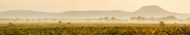 Foggy morning in the countryside, panoramic view.  - Photo, Image