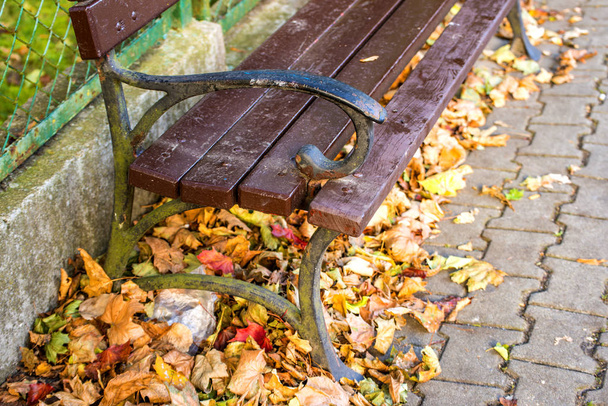 秋の太陽の街の公園のベンチ - 写真・画像