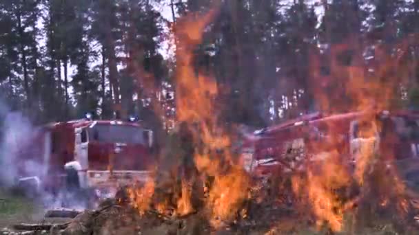 Camion dei pompieri. Accendi gli aghi degli alberi pericolosi per la foresta. Scena. Non sicuro riposo attivo sulla natura con il fuoco. Risposta rapida dei vigili del fuoco al fuoco nella foresta
 - Filmati, video