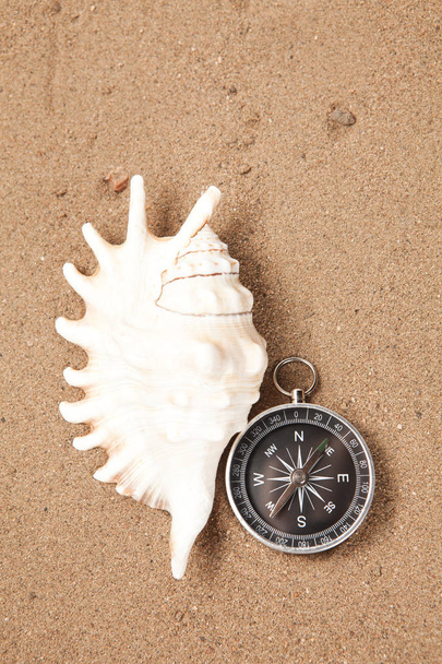 Compass and seashells in sand closeup with place for text. - Foto, Imagen