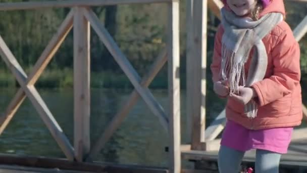μικρό κορίτσι, Κόρη, σε ζεστά ρούχα, παίζοντας με ένα σκυλί, ταΐζει, πικ-νικ στην όχθη του ποταμού σε μια ξύλινη γέφυρα, Σαββατοκύριακο, κρύο, κάμπινγκ, τουρισμός - Πλάνα, βίντεο
