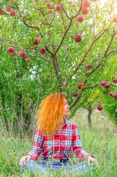 Genç kadın bir elma bahçesinde yeşil çimenlerin üzerinde oturuyor. Harv - Fotoğraf, Görsel