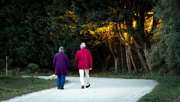 Старша пара гуляє в парку
 - Фото, зображення