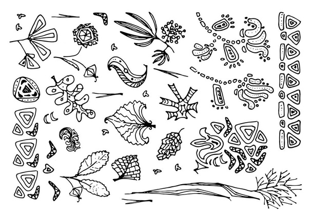 Fantasztikus kézzel rajzolt virág Design elemek elszigetelt fehér Background összessége. Vektoros illusztráció Doodle növények vagy kitalált herbárium azték dísz elemekkel - Vektor, kép