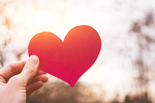 valentines day card, hand holding heart, love concept - Fotografie, Obrázek