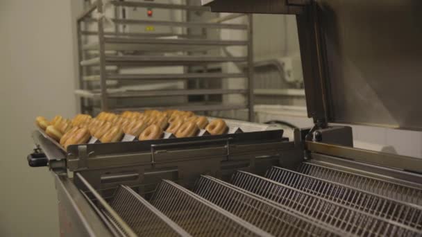 Ipari termelés a fánk. Jelenet. A sütőiparban kenyér, candy factory, sütik, bagels vagy fánk sokat a pékség desszert gyárban - Felvétel, videó