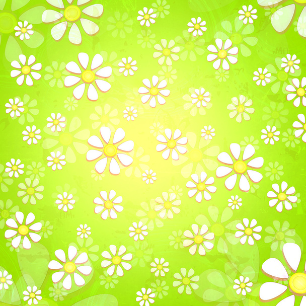 spring white flowers over green background - 写真・画像