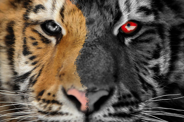 Tigris félelmetes horror portré. Halloween, vagy "szellemkép" stílus - Fotó, kép