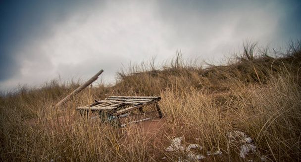 ıstakoz tuzağı prince edward Island'deki/daki terk - Fotoğraf, Görsel