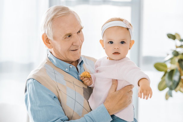 senior souriant grand-père tenant tout-petit petite-fille avec cookie
 - Photo, image