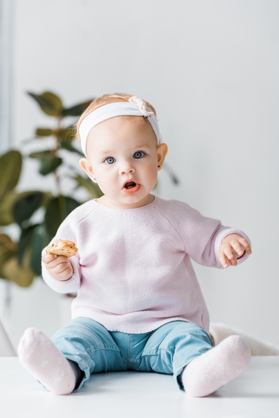 Beyaz masaya oturan ve bisküvi tutan şirin bebek - Fotoğraf, Görsel