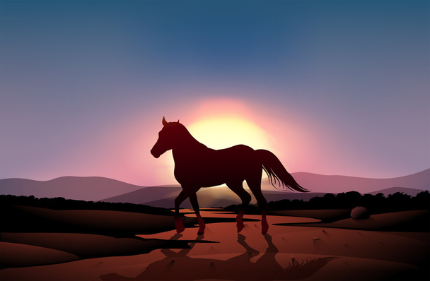 ένα ηλιοβασίλεμα με ένα άλογο - Διάνυσμα, εικόνα