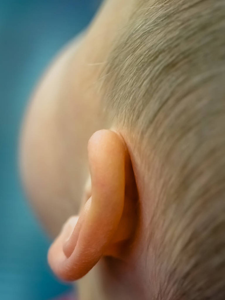 Fechar de uma orelha de um pequeno rapaz caucasiano
 - Foto, Imagem