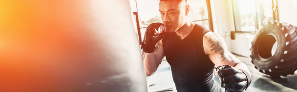 young sportsman wearing boxing gloves and punching boxing bag at gym in sunlight - Photo, Image