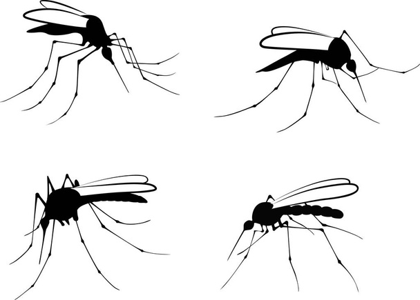 Σιλουέτες κουνουπιών - εικονογράφηση διάνυσμα - Διάνυσμα, εικόνα