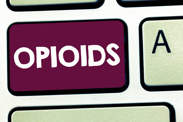 Opioidy wyświetlone znak tekstu. Koncepcyjne zdjęcie klasy leków, które zawierają nielegalnej heroiny maku roślin. - Zdjęcie, obraz