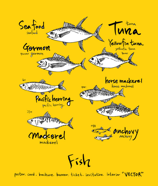 Sea food menu illustrations / Hand drawn food ingredients - vector - Vektori, kuva