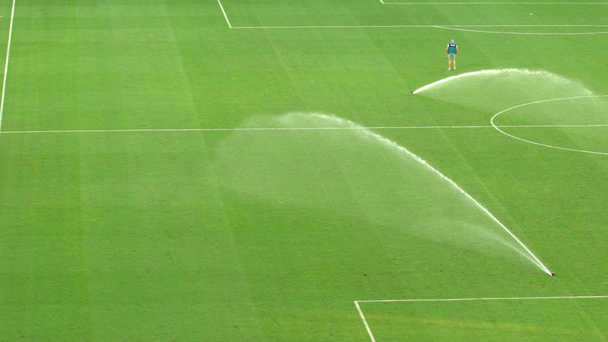 Voetbalveld gedrenkt na match, onderhoud van gras standplaatsen, slow-motion - Video