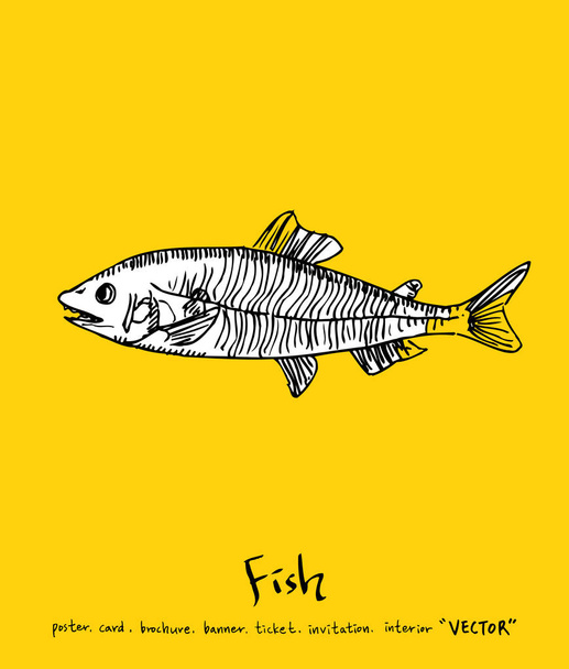 Sea food menu illustrations / Hand drawn food ingredients - vector - Vektor, obrázek
