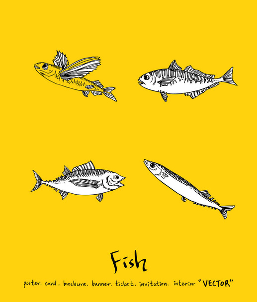 Sea food menu illustrations / Hand drawn food ingredients - vector - Вектор,изображение
