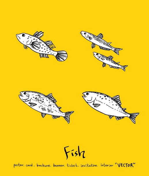 Sea food menu illustrations / Hand drawn food ingredients - vector - Vektor, kép